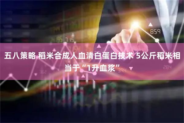 五八策略 稻米合成人血清白蛋白技术 5公斤稻米相当于“1升血浆”