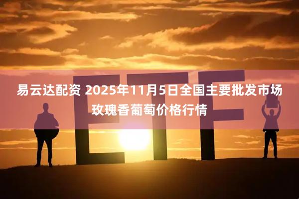 易云达配资 2025年11月5日全国主要批发市场玫瑰香葡萄价格行情
