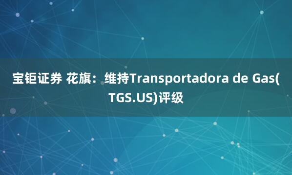 宝钜证券 花旗：维持Transportadora de Gas(TGS.US)评级