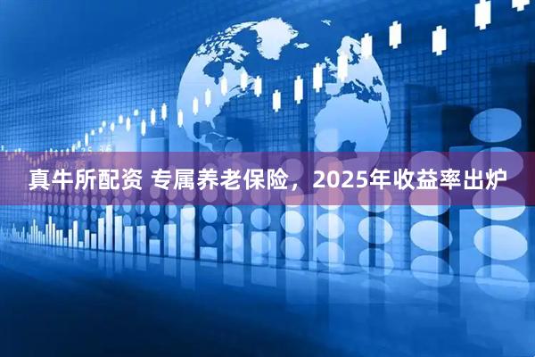 真牛所配资 专属养老保险,2025年收益率出炉