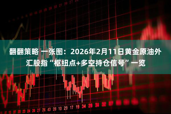 翻翻策略 一张图：2026年2月11日黄金原油外汇股指“枢纽点+多空持仓信号”一览