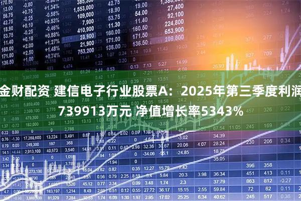 金财配资 建信电子行业股票A：2025年第三季度利润739913万元 净值增长率5343%